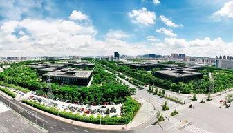 横岗区坂田镇新闻头条,聚焦区域发展新动态，共话坂田未来蓝图