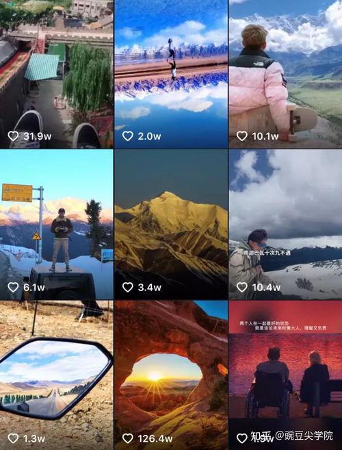头条里怎么查询直播号数,头条直播号数查询攻略