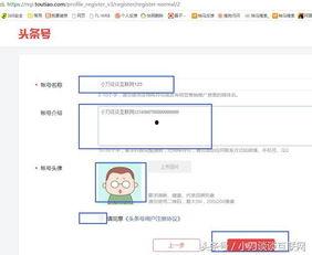 怎么找收藏的头条号,实用攻略一网打尽
