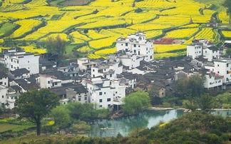 头条旅游婺源景区,诗意田园，古韵徽州，摄影天堂之旅