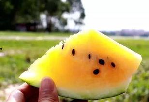 吃瓜黄色人脸,网络热词背后的文化现象