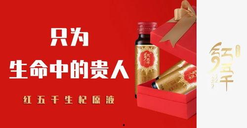 红五千网站,揭秘金融投资领域的创新与机遇