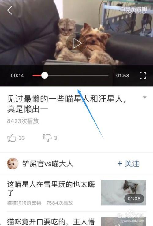 怎么在今日头条上网购,轻松购物，享受便捷生活