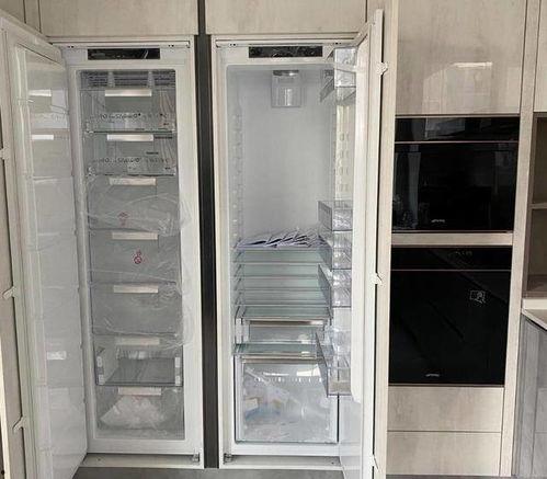 网红冰箱能买吗吗,潮流家电还是实用之选？