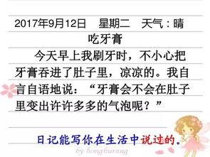 每日大赛往期内容怎么写,每日大赛精彩内容深度解析