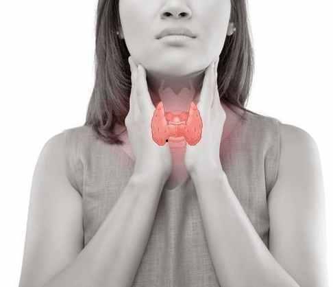 甲状腺结节可以吃瓜