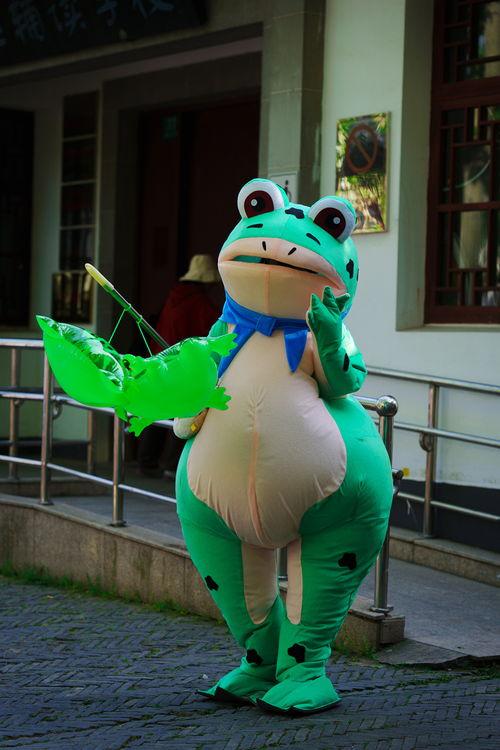 网红青蛙kt板,萌动视觉，趣味无限