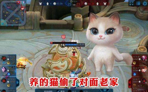 带你吃瓜养猫游戏,趣味游戏体验，轻松治愈日常压力