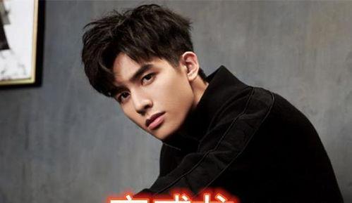 网红变明星男,男生的蜕变之路