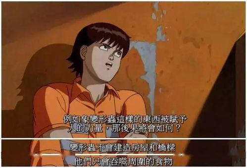 今天的吃瓜言昭,言昭事件深度解析