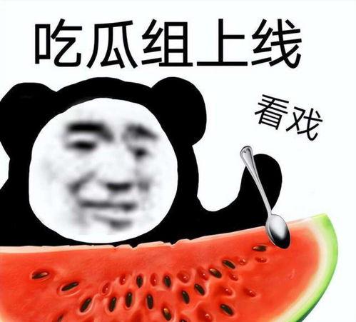 带你吃瓜奇葩点名方式,带你领略“吃瓜”时代的独特点名方式