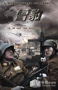 文章雪豹在线观看,探寻神秘雪域之王的传奇故事