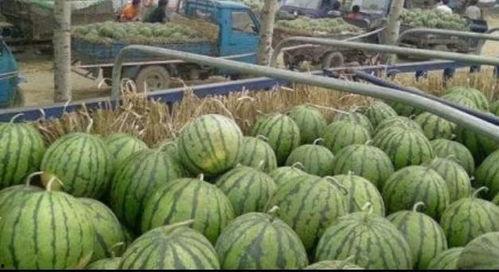 技师吃顾客的瓜,引发一场爆笑风波