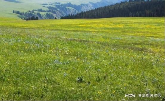 南涧网红草坪在哪里,探寻云南小众秘境的绿意盎然