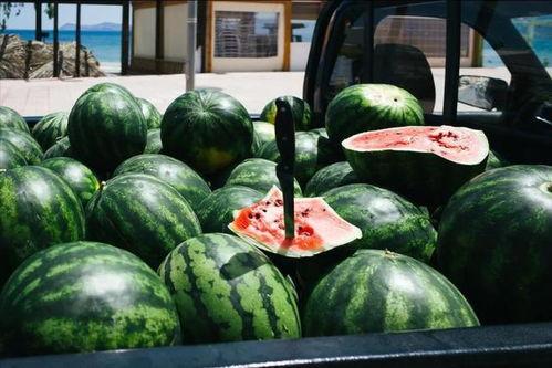 人类喜欢吃瓜吗,揭秘人类对瓜类美食的热爱与追求