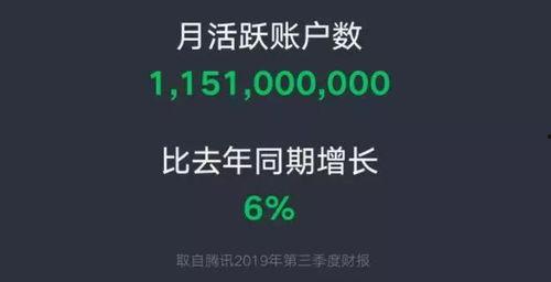 怎样打造网红号视频,从内容到传播的全方位解析