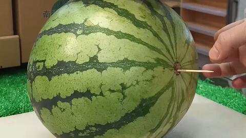 潍坊吃霸王瓜事件,一场关于公平交易的公共风波