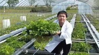 鄂州头条新农人