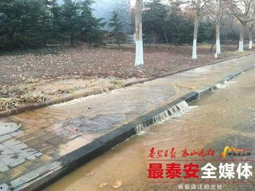 泰安龙潭路南段新闻头条,交通出行再升级
