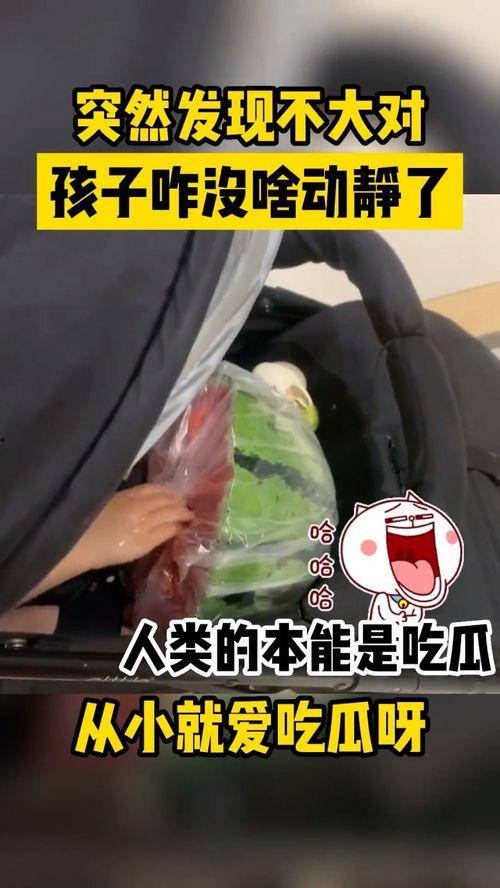 小孩打架吃瓜视频真实,一场儿童打架引发的围观与反思