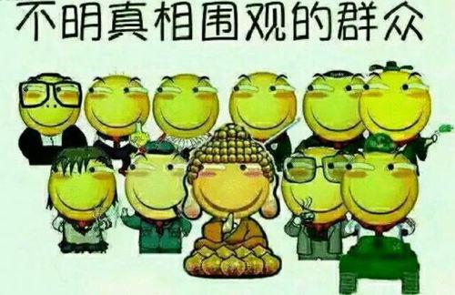 娱乐吃瓜呆头鹅,呆头鹅的趣味生活揭秘