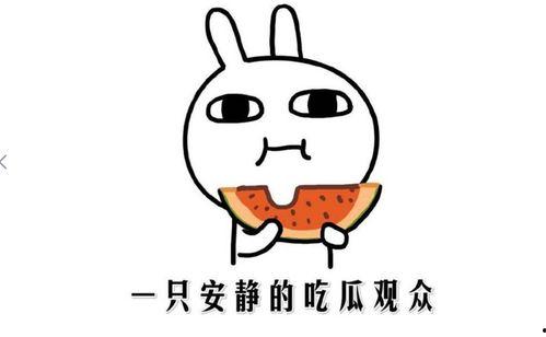 娱乐吃瓜的配音是什么意思,揭秘“娱乐吃瓜”配音背后的趣味与魅力