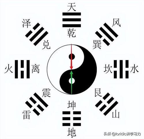 娱乐随拍吃瓜八卦图